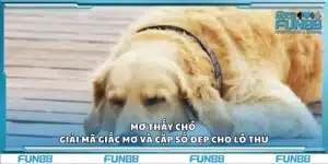 Mơ thấy chó – Giải mã giấc mơ và cặp số đẹp cho lô thủ