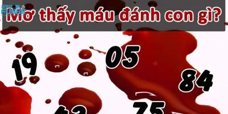 Điềm báo các trường hợp mơ về máu