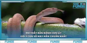 Mơ thấy rắn đánh con gì? Gợi ý con số may mắn chuẩn nhất